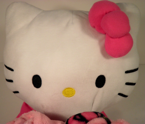 Nuovo Hello Kitty peluche e lancio set 2 pezzi 50 x 60 Northwest Silk Touch regalo arcobaleno - Foto 13 di 13