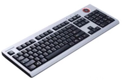 Full Size Standard Keyboard Lenovo SK-9292 PS2 PS/2 Silver BRAND NEW ...