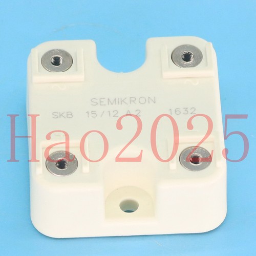 SKB15/12A2 SKB15-12A2 SEMIKRON New Module Fast Shipping - 第 3/5 張圖片
