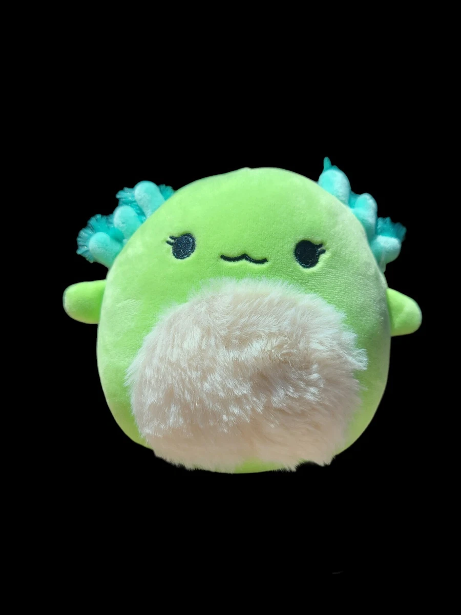 New Squishmallows Mipsy the Green Axolotl 5 Inches Fuzzy Belly Plush Sealife