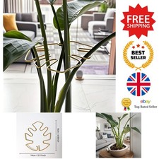 Stem Stabilizer - Decorative Metal Climbing Plant Support - Ideal for Monstera
