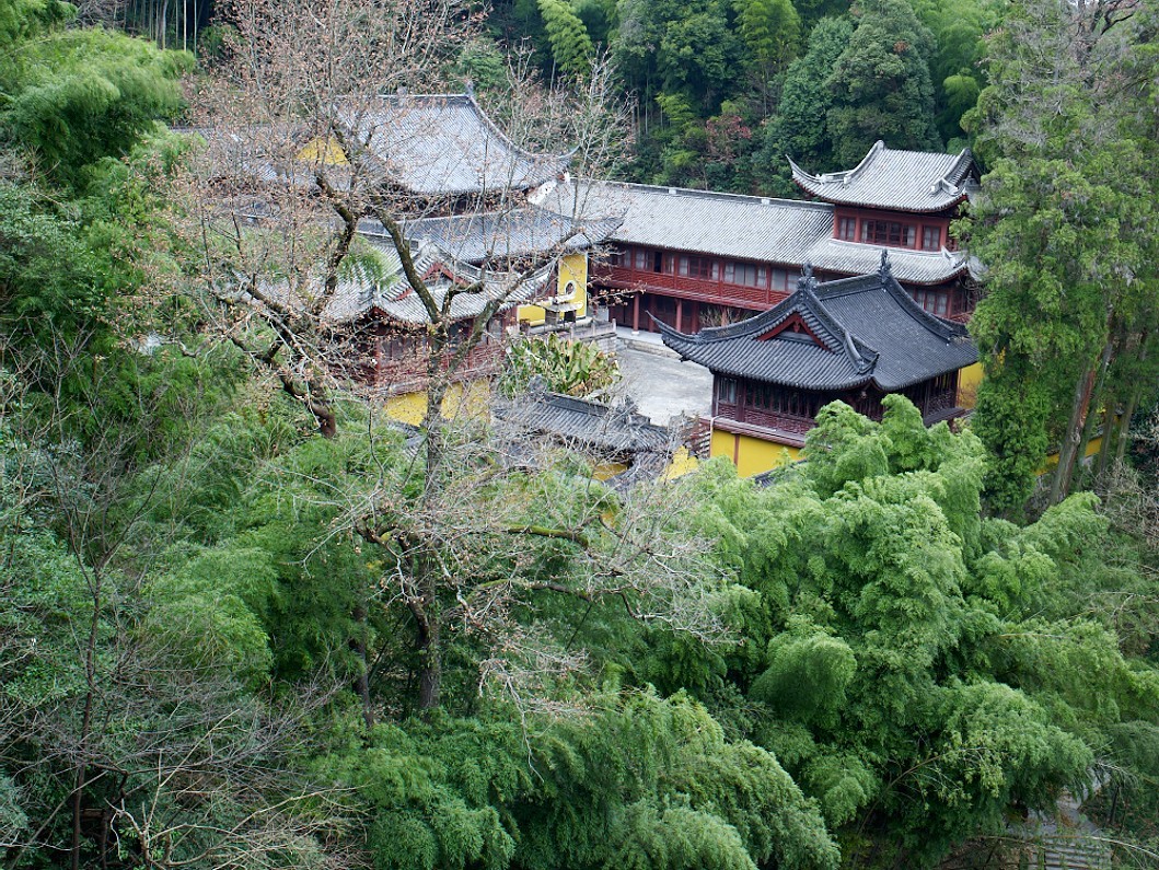 Phase One P25+ Hasselblad V mount digital back Excellent ++