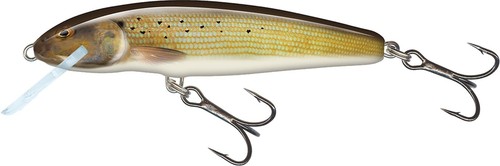 SALMO LURES MINNOW 5-6-7 cm ARTIFICIALE PESCA TROTA FLOATING SINKING HARD BAIT - Photo 7 sur 21