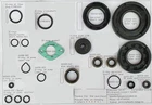 Kawasaki H2/H2A 750 21pcs Transmission Cover crankshaft engine pump Oil Seal Kit