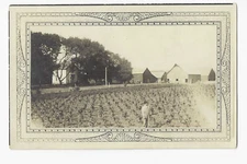 Farmer Standing in Corn Field RPPC Postcard Farmhouse Barns