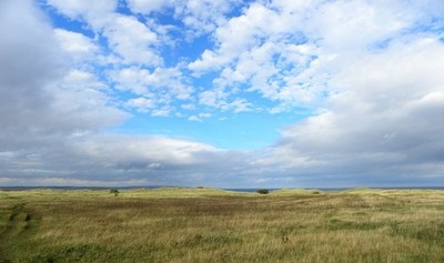 Foto 12x8 Holy Island Szene Holy Island\/NU1241 Das Gebiet draußen verwaltet c2018
