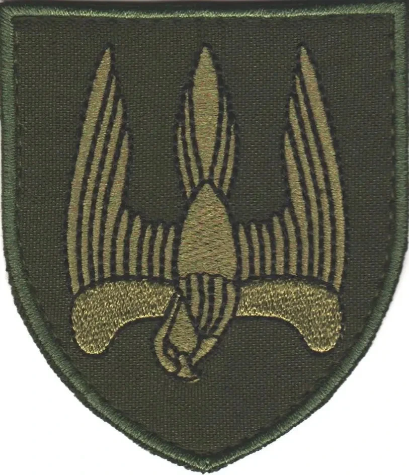 Patches of Various Ukrainian Army Units (Chevrons) 2014-2026