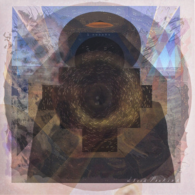 Elvis Perkins I Aubade (Vinyl) 12'' Album (US IMPORT)
