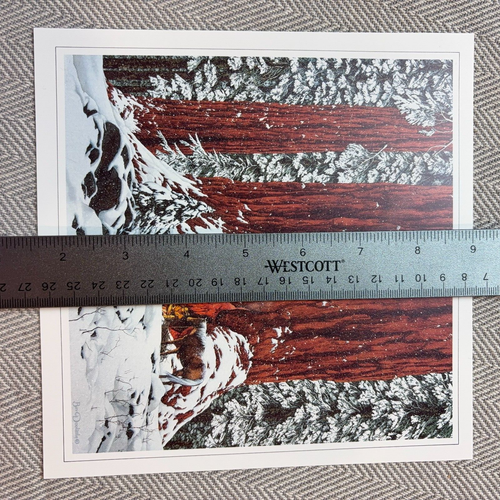 Bev Doolittle Vtg Print 6.5" Sq Camo Nature Snow Camp Fire Book Plate Art 80s - Picture 5 of 6