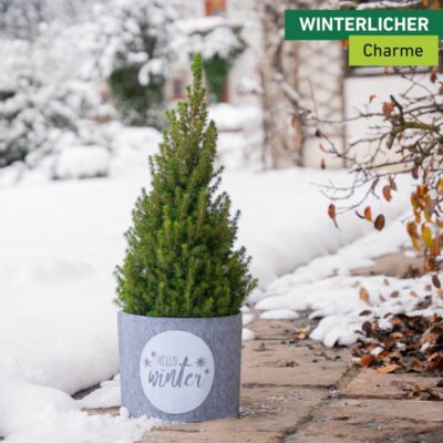 Deko-Filz-Topfschutz HELLO WINTER
