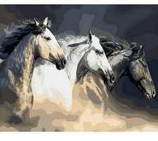 Paint By Numbers Adults kids Running Horses DIY Painting Kit 40x50CM Canvas