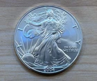 2004 Uncirculated American Silver Eagle 1 Oz .999 Fine Silver