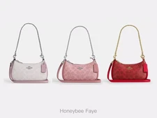 NWT Coach Teri Mini Crossbody Bag In Signature Canvas CW323