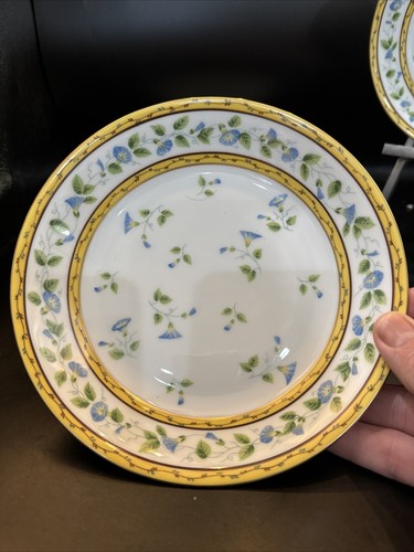 ceralene raynaud limoges morning glory Spray Set Of 4 Coupe Soup Bowls 7 3/4 In - Picture 8 of 12