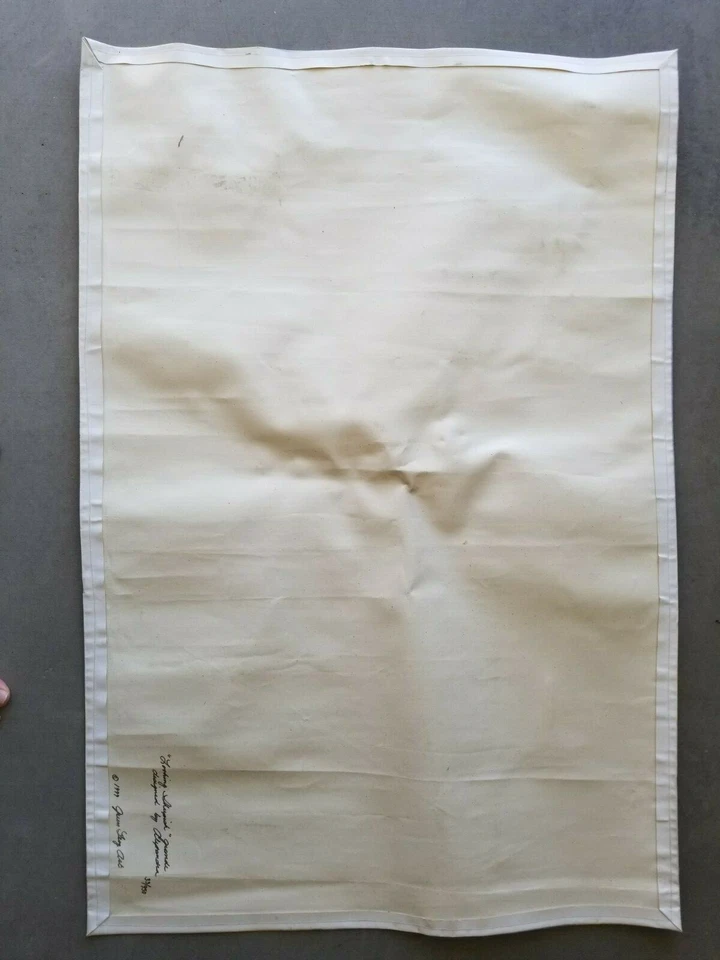 Cuadro en lienzo Green Frog Art “Looking Sheepish” edición limitada Foto 3 de 4