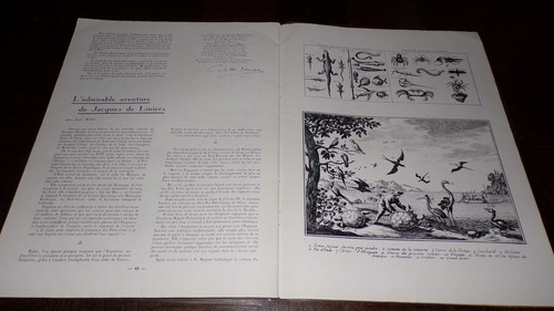 LES ANNALES COLONIALES - N°51 - Mars 1936 - Picture 10 of 12