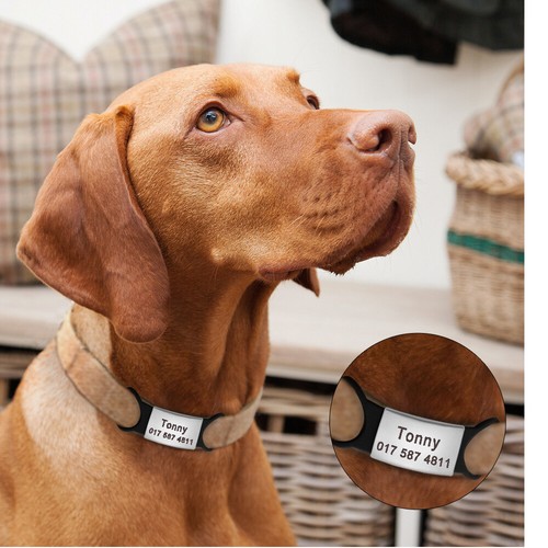 Personalised Dog Tags Slide On Collar No Noise Pet Engraved Name Number Custom - Picture 11 of 24