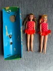 Vintage 1970s Skipper Barbie Doll Blonde/Brunette Sausage Curl TNT with 1 box