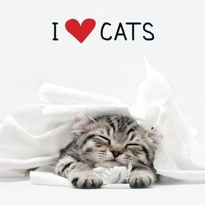 I Love Cats (Adams Media),Adams Media