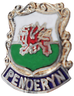 Penderyn Village Small Pin Badge Wales