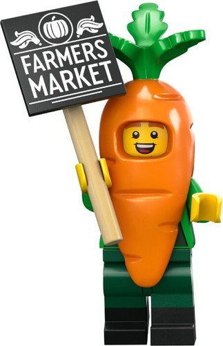 LEGO 71037 MINIFIGURES – SERIE 24 – COMPLETA LA COLLEZIONE - Foto 4 di 13