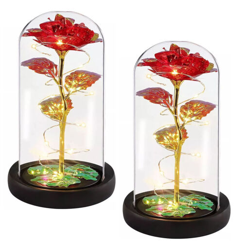 2Pack Light Up Flower Rose in Glass Dome Valentines Birthday Gift For Women Her