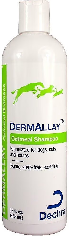 DermAllay Oatmeal Shampoo for Dogs  Cats  and Horses  12 fl oz