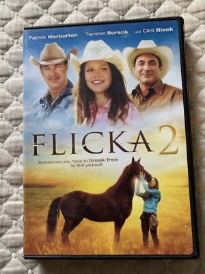 Flicka 2 DVD w/case/ fast ship/ VG