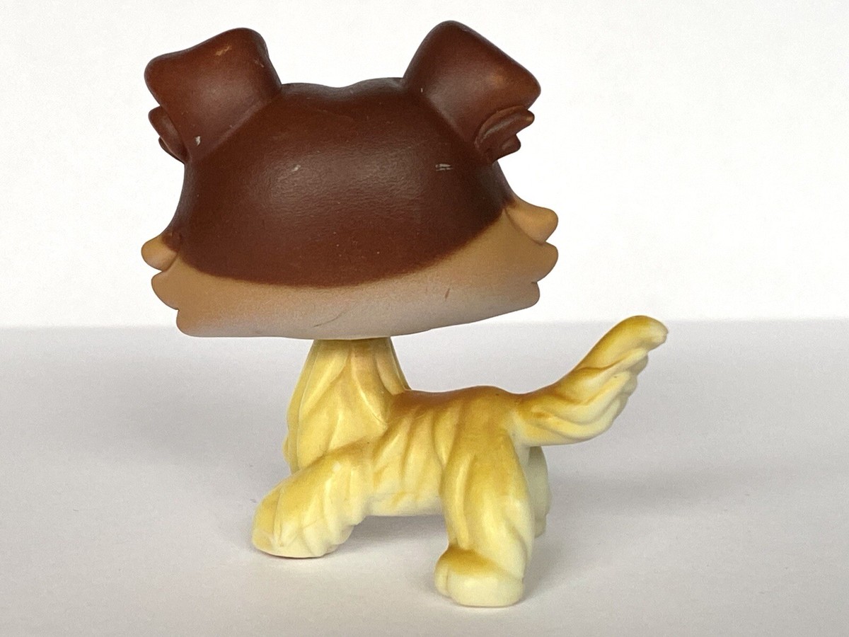 LITTLEST PETSHOP LPS #1676 Chien Colley EUR 8,00 - FR