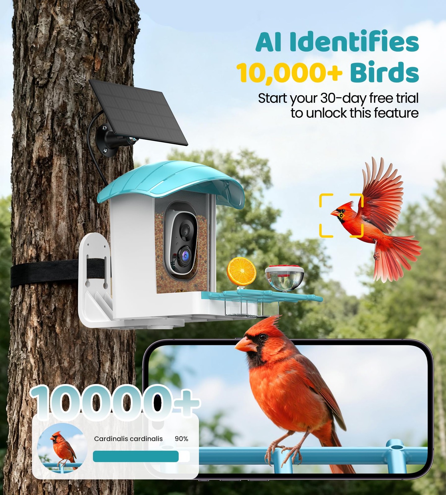 Bird Feeder with Camera Solar Powered: Smart Bird Feeders for Outdoors Garden...