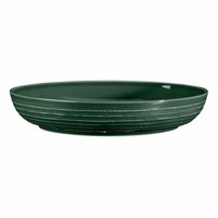 Seltmann Weiden Terra Foodbowl SchüSsel Schale Porzellan MoosgrüN Ø 28.4 Cm