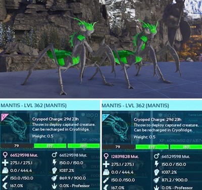 Ark Survival Ascended pve TOP STAT MANTIS MONSTER PAAR XBOX/PC/PS5