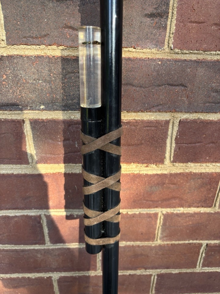 Scorpion Acrylic Clear Handle Metal Walking Cane & Insect Acrylic ...