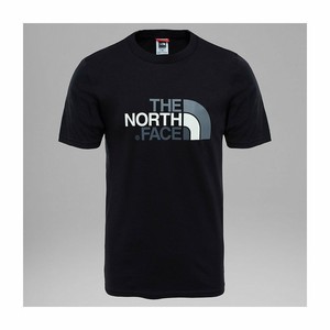 camiseta north face