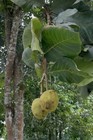 Foto 5 di 5