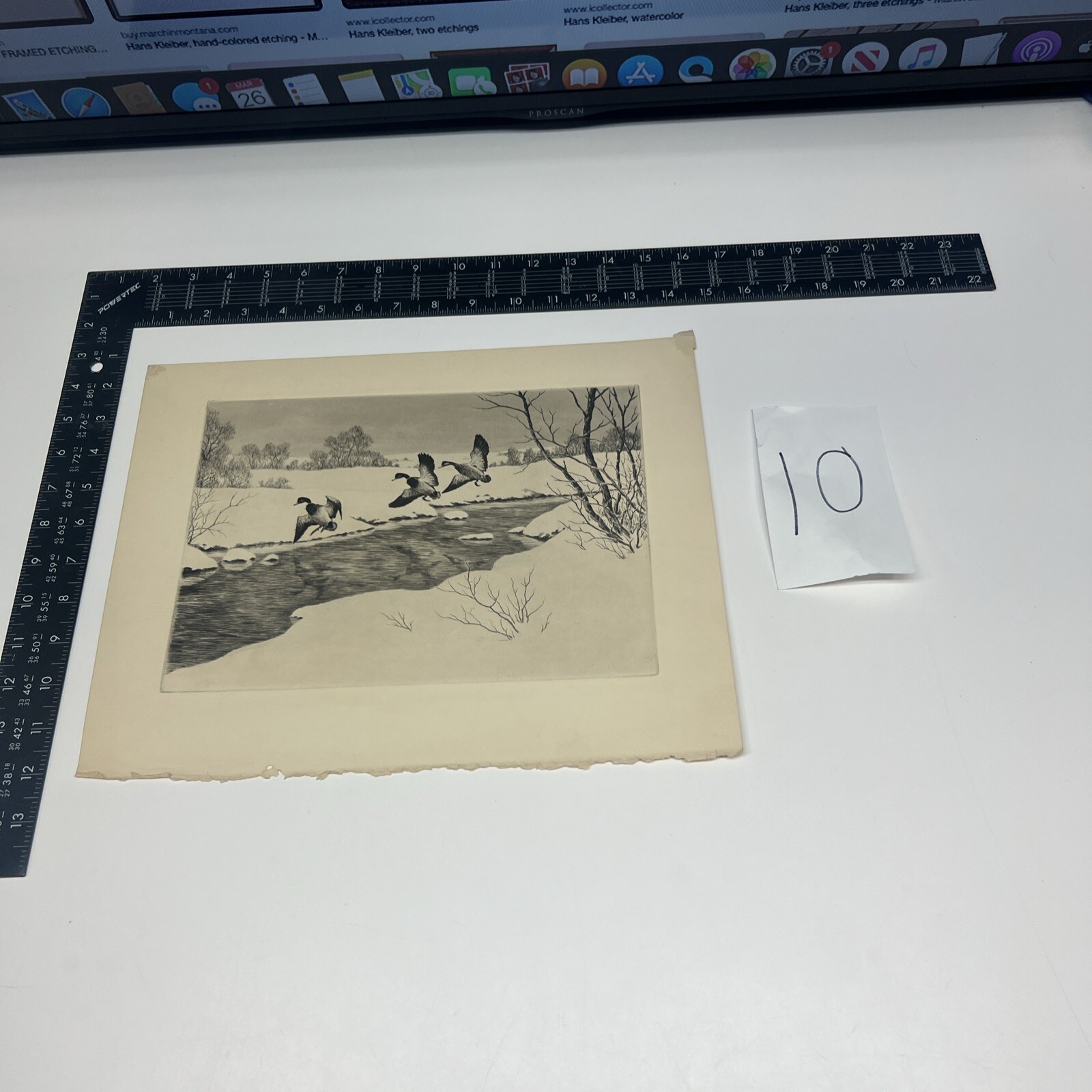 Picture 1 of 17