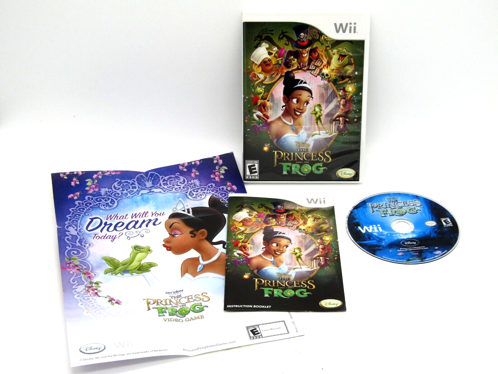 The Princess and the Frog (video game)