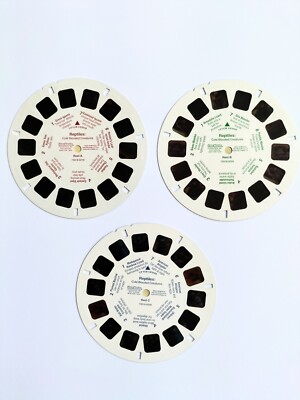 1998 REPTILES Cold Blooded Creatures Mattel VIEW-MASTER 3 reels ID
