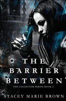 Stacey Marie Brown | The Barrier Between | Taschenbuch | Englisch (2021)