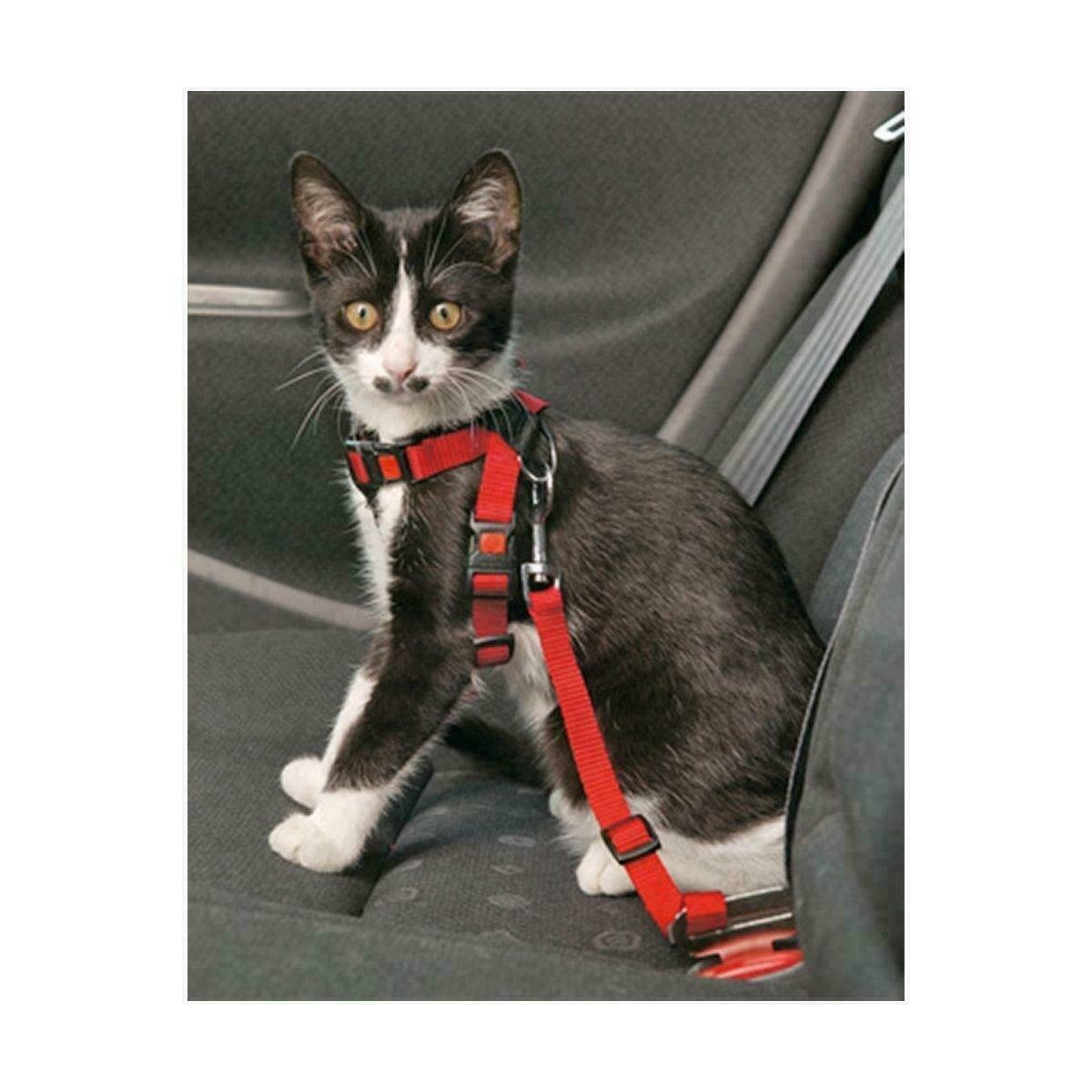 Trixie Car Travel Harness for Cats, Padded Universal, Attach to Seat