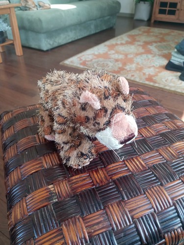 3 Webkinz Leopard - Picture 2 of 2