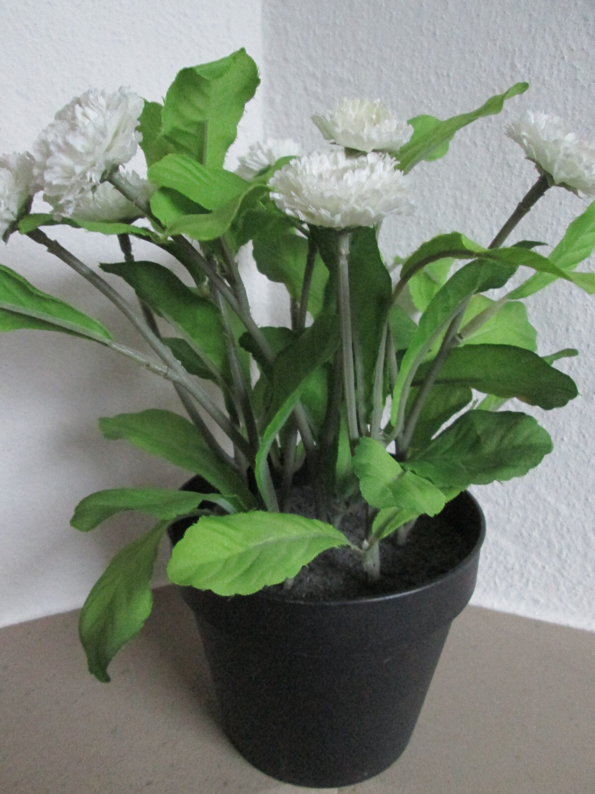 Bild 3 von 5