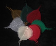 35 leaves variety assortment green red gold leaf Po Bo Banyan Skeleton Medium