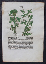 INKUNABEL,HERBARIUS PATAVIAE,PASSAU,JOHANN PE...