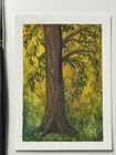 ACEO original painting of Cedar Tree in gouache/watercolor 2.5x3.5” — photo 1