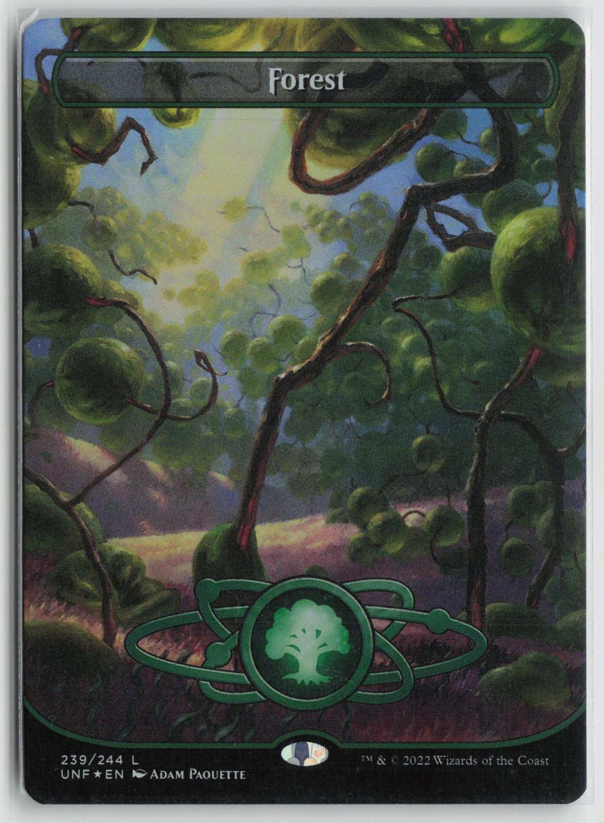 Forest (239) (Borderless) 239 Land Unfinity Magic: The Gathering Foil LP