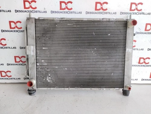 8200688390 Radiador Agua para RENAULT CLIO III Authentique 2007 165798 - Imagen 1 de 10