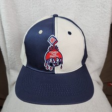 VTG Sherman Williams Cover The Earth Color Block White Navy Snapback Hat Cap