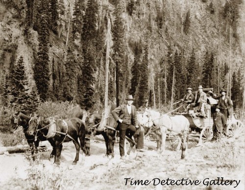 Stagecoach Between Ouray & Red Mountain, Colorado - c1900 - Historic Photo Print - 第 1/1 張圖片