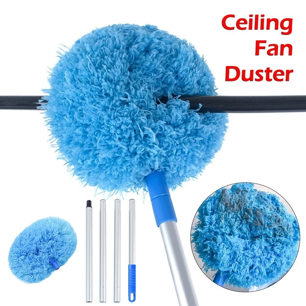 Fan duster 2024